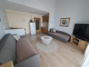 a living room with a couch and a flat screen tv at Apartments NEF in Pinezici
