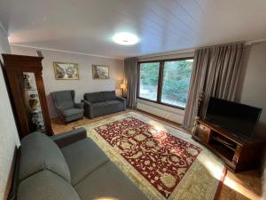 a living room with a couch and a television at Villa Campari in Imatra