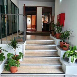 a staircase in a building with potted plants at HOTEL PERLA in Massa Lombarda