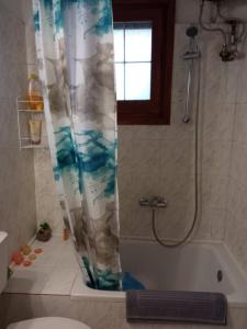 y baño con cortina de ducha y aseo. en Kanakades Valley View House, en Kanakádes