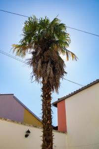 Fotografie z fotogalerie ubytování Villa M v destinaci Mostar
