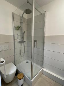 a bathroom with a shower and a toilet at Studio cabine vue mer in Mauguio