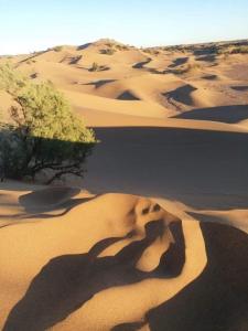a person laying in the sand in a desert at Nomadic Stay in Mhamid
