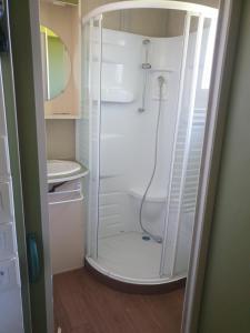 a bathroom with a shower and a toilet and a sink at les chalets de l'essentiel in Lacaze