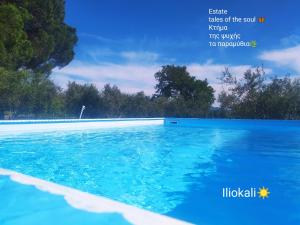 Majoituspaikassa Bungalows with private pools "Tales of the Soul - Της Ψυχής Τα Παραμύθια" tai sen lähellä sijaitseva uima-allas