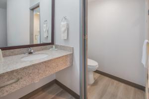 Koupelna v ubytování Quality Inn & Suites Richardson-Dallas