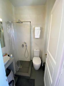ein Bad mit einer Dusche, einem WC und einem Waschbecken in der Unterkunft Alkyonis Sunset Suite in Kamarai