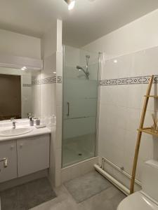 La salle de bains est pourvue d'une douche, d'un lavabo et de toilettes. dans l'établissement Cozy 2 pièces AUX PORTES DE PARIS !, à Issy-les-Moulineaux