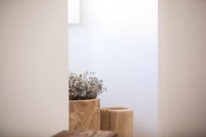 a plant in a pot sitting on a window sill at Casa do Gadanha in Estremoz