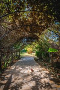 a path through an archway in a park at Aldea Huasteca in El Platanito +2 photos