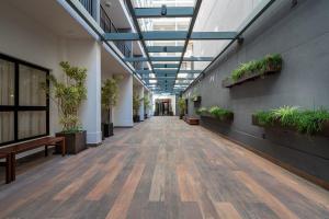 an empty hallway with potted plants in a building at Apartamento para renovar as energias - Cama Queen in Sao Paulo