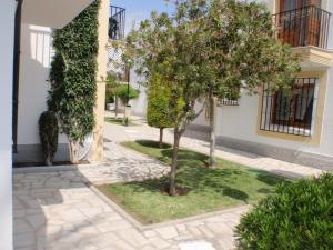 une cour avec deux arbres devant un bâtiment dans l'établissement Urbanizacion Vera Costa, Vera, à Vera