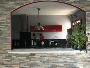 a kitchen with red cabinets and a potted plant at ELLO HAPPINESS HOME place to be in pau in Pau