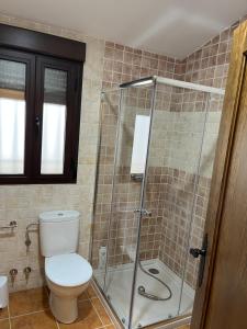 a bathroom with a toilet and a shower at Alquería de Segur a in Segura de la Sierra