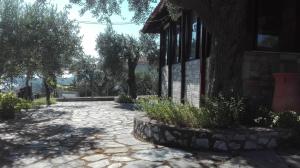 a stone walkway next to a building with a tree at Green & Blue House in Vourvourou