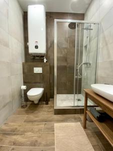 La salle de bains est pourvue d'une douche, de toilettes et d'un lavabo. dans l'établissement LA COSY FACTORY - Centre historique, à Chambéry