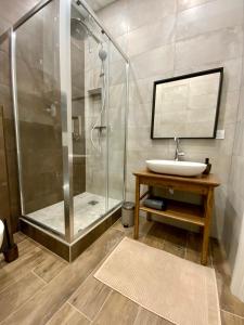 La salle de bains est pourvue d'une douche en verre et d'un lavabo. dans l'établissement LA COSY FACTORY - Centre historique, à Chambéry