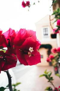 Zahrada ubytování Neos Hotel Cartagena