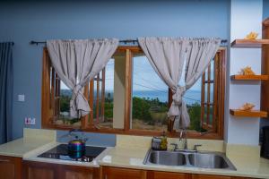 a kitchen with a sink and a window at Desired View in Choiseul