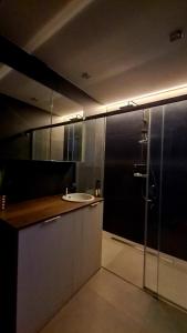 een badkamer met een wastafel en een douche bij Mazurski apartament in Ostróda