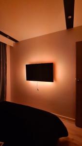TV a/nebo společenská místnost v ubytování Mazurski apartament