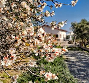 A garden outside Borgo Santa Lucia