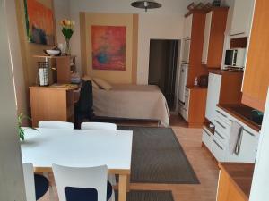 セイナヨキにあるPihataloのキッチン、ベッドルームが備わる小さなアパートメントです。