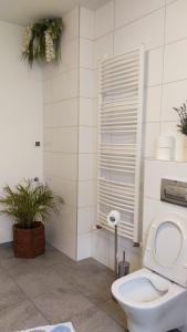 a bathroom with a toilet and a window and a plant at Apartament Przy rynku in Duszniki Zdrój