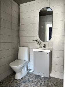 a bathroom with a toilet and a sink and a mirror at The Bird Cherry Junior Suite in Varkaus