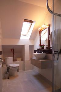 een badkamer met een toilet, een wastafel en een dakraam bij Pensiunea Trei Pini in Seini