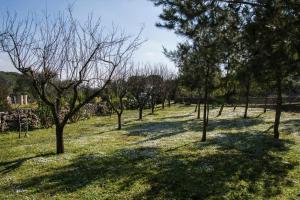 A garden outside Casale Sombrino