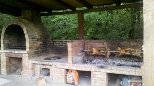 un horno de ladrillo al aire libre con algunos animales. en Pensiunea Larysse, en Băile Felix