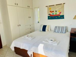 Postel nebo postele na pokoji v ubytování Lemnos Retreat Villa-250m from the Beach 1km from Diapori