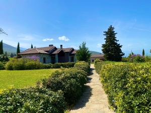 Příroda nedaleko apartmánu