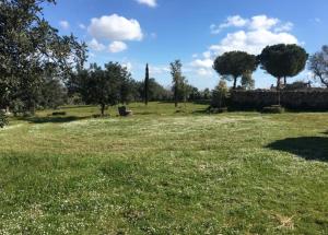 A garden outside Casale Sombrino
