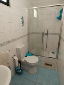 uma casa de banho com um chuveiro, um WC e um lavatório. em CASA do MONDEGO COIMBRA-17km em Penacova