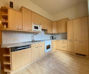 Kuchyňa alebo kuchynka v ubytovaní Ferienhaus Silke