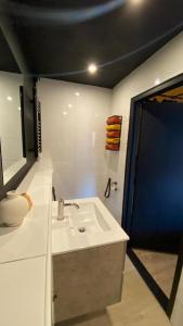een badkamer met een witte wastafel en een blauwe deur bij Cosy Aquarium for a couple or friends in Groningen
