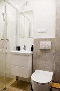 a bathroom with a toilet and a sink and a shower at Apartamenty Długa in Nowy Targ