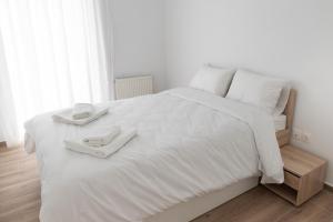 Krevet ili kreveti u jedinici u okviru objekta Stylish spacious apartment in Palaio Faliro (C1)