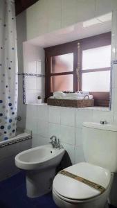 baño con aseo y lavabo y ventana en Apartamentos Rurales La Laguna Somiedo, en Valle de Lago