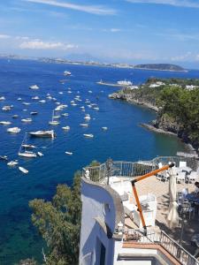 een uitzicht op een haven met boten in het water bij L'Incanto Suites Ischia in Ischia