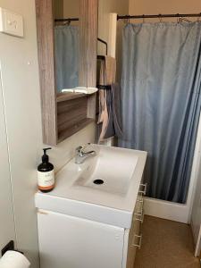 uma casa de banho com um lavatório branco e um chuveiro em Junction Hotel Moora em Moora