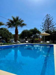 een groot blauw zwembad met een palmboom bij Manolis Apartments plakias in Plakias