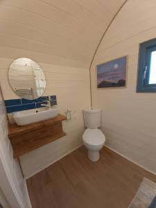 a bathroom with a white toilet and a sink at Orchard Farm Luxury Glamping in Glastonbury