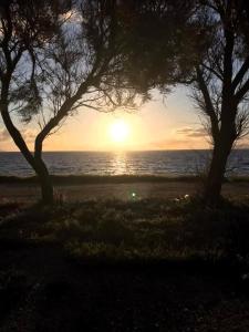 - un coucher de soleil sur l'océan avec deux arbres sur une plage dans l'établissement Casa Vacanza Antonella, à Milazzo