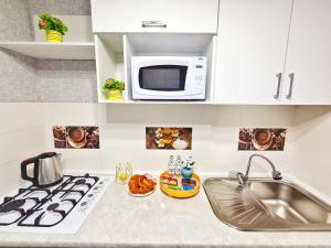 塔拉茲的住宿－Абсолютно новая квартира класса ЛЮКС，厨房柜台设有水槽和微波炉