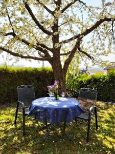 a table and two chairs under a tree at Haus Kramer in Bad Bellingen