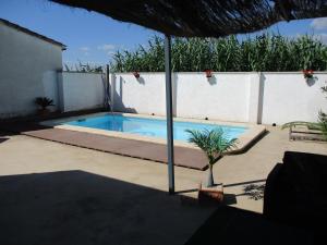 a swimming pool on a patio with a palm tree in front at Casa con piscina privada en barrio tranquilo in Castelló d'Empúries