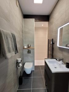 a bathroom with a toilet and a sink at Moulin de Saint Laurent in Saint-Laurent